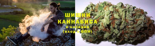 крисы Россошь