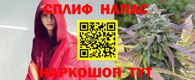 бошки Камышлов