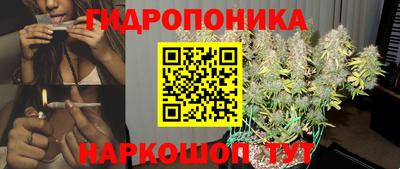 молекула духа Кандалакша