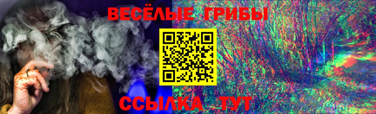 Котельники  Псилоцибиновые грибы Cubensis  цена наркотик  Вход с VPN 