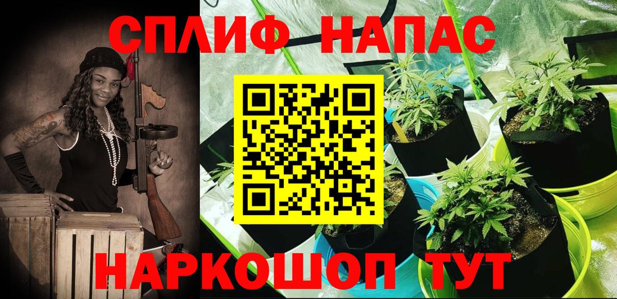 Шишки марихуана план Котельники